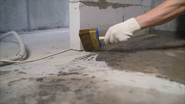 SJ Waterproofing Pros Crawl Space Encapsulation coverage map for Willard, NY and surrounding area